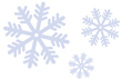 Snowflake graphic