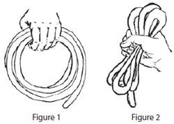Holding a leading rope in a circle (Picture 1) and in figure 8 (picture 2)