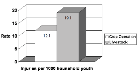 Bar graph showing rate of injuries per 1000 household youth, where Livestock is almost twice as much as Crop Operation