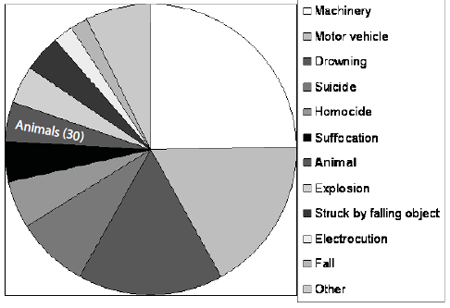 Pie chart