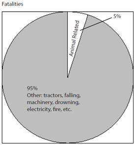 pie chart