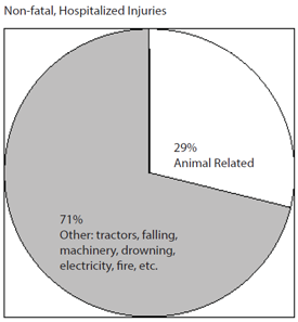 pie chart