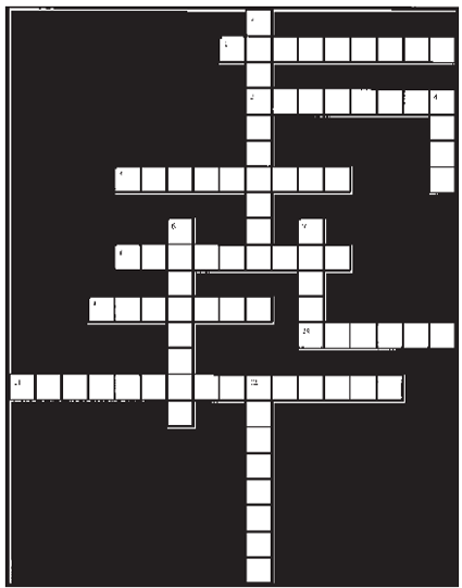 crossword puzzle