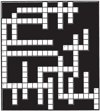 crossword puzzle 