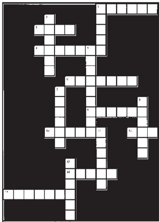 crossword puzzle