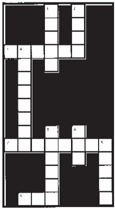 crossword