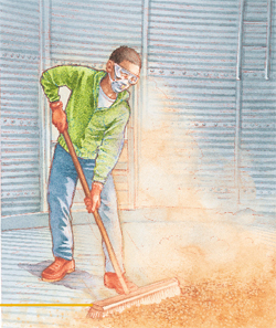 Child cleaning out a grain bin wearing a mask and goggles, sweeping with a broom