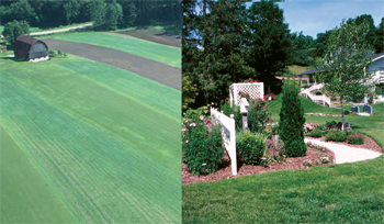 garden and farm picture