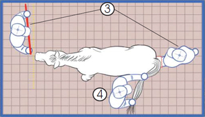 This is a diagram of how to position people around a horse for a medical exam.