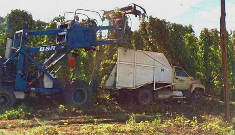 Photo of hop harvester with material over truck.