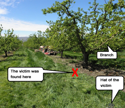 Incident scene showing the bin carrer that the orchard laborer was operating.