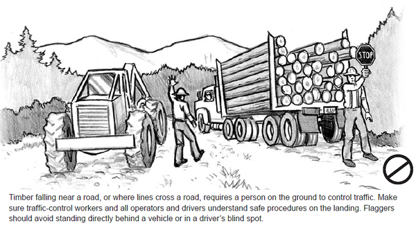 Timber falling near a road, or where lines cross a road, requires a person on the ground to control traffic. Make sure traffic-control workers and all operators and drivers understand safe procedures on the landing. Flaggers should avoid standing directly behind a vehicle or in a driver’s blind spot.