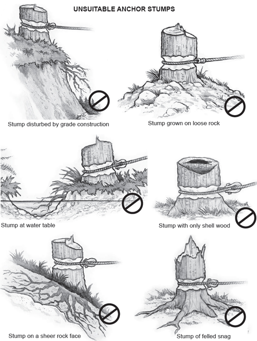 unsuitable anchor stumps- choose the stump itself cautiously