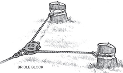 bridle block illustration