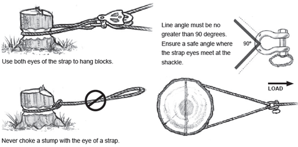 stumps and shackles: Use both eyes of the strap to hang blocks; Never choke a stump with the eye of a strap; Line angle must be no
greater than 90 degrees.
Ensure a safe angle where
the strap eyes meet at the
shackle.