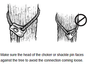 Make sure the head of the choker or shackle pin faces against the tree to avoid the connection coming loose