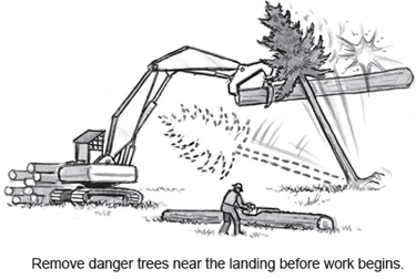Remove danger trees near the landing before work begins.