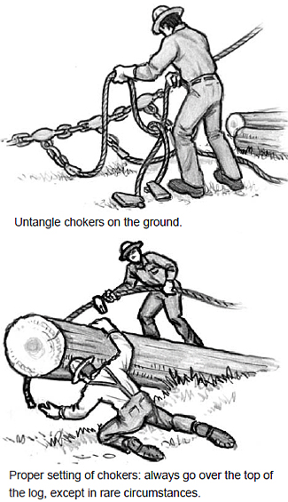 Untangle chokers on the ground.Proper setting of chokers: always go over the top of the log, except in rare circumstances.