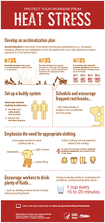 Heat stress infographic