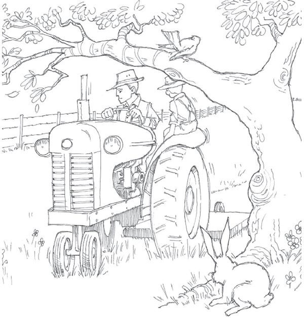 tractor riding too close to an overhanging tree branch