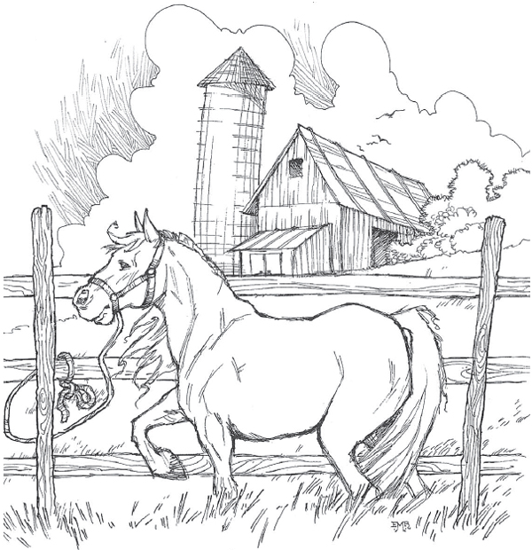 pony near a fence