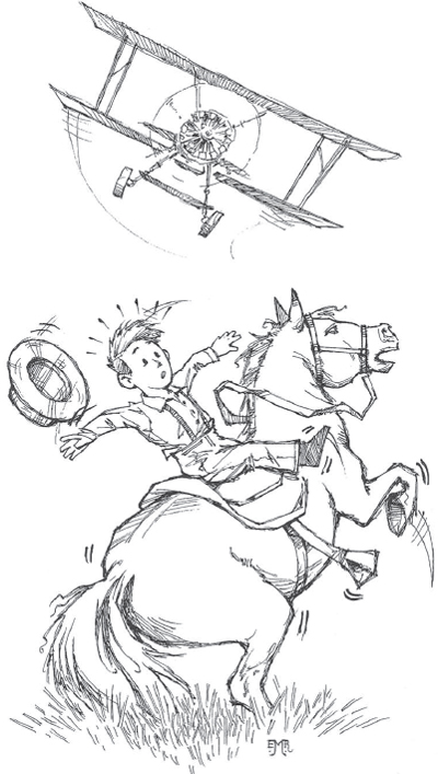 a small plane near a horse bucking off the child