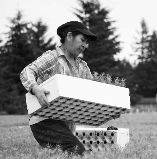 This is a photo of a man carrying a package of seedlings