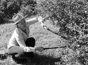 woman crouching cutting some bushes