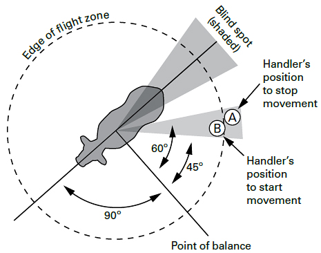 Guides & Toolkits - Agricultural Safety Topic - Preventing Machine Hazards