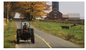 tractor on the road in front of you