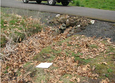 Figure 4. Landscape culvert and sloped surface on edge of roadway traveled.