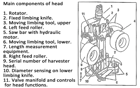 Main components of the head drawing