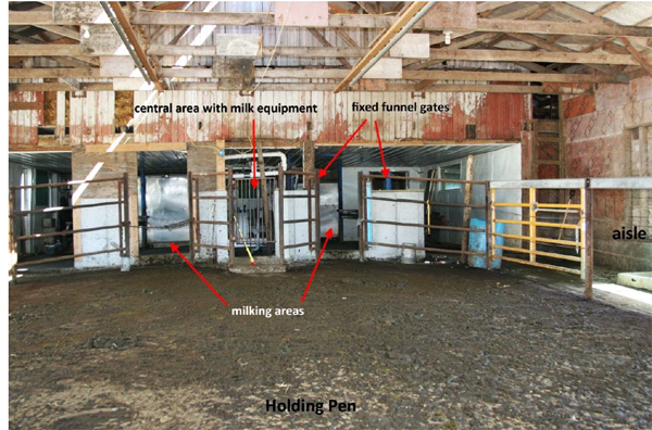 Exhibit 1: View of holding pen area, looking west toward milking area.