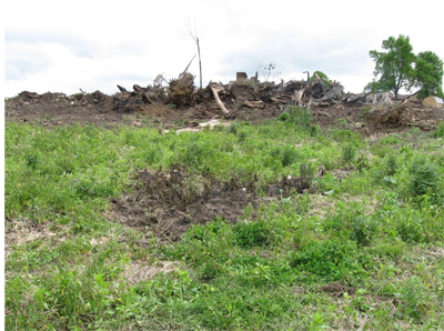 Exhibit 1: Burn pile and burn area on ground where bulldozer is believed to have caught fire